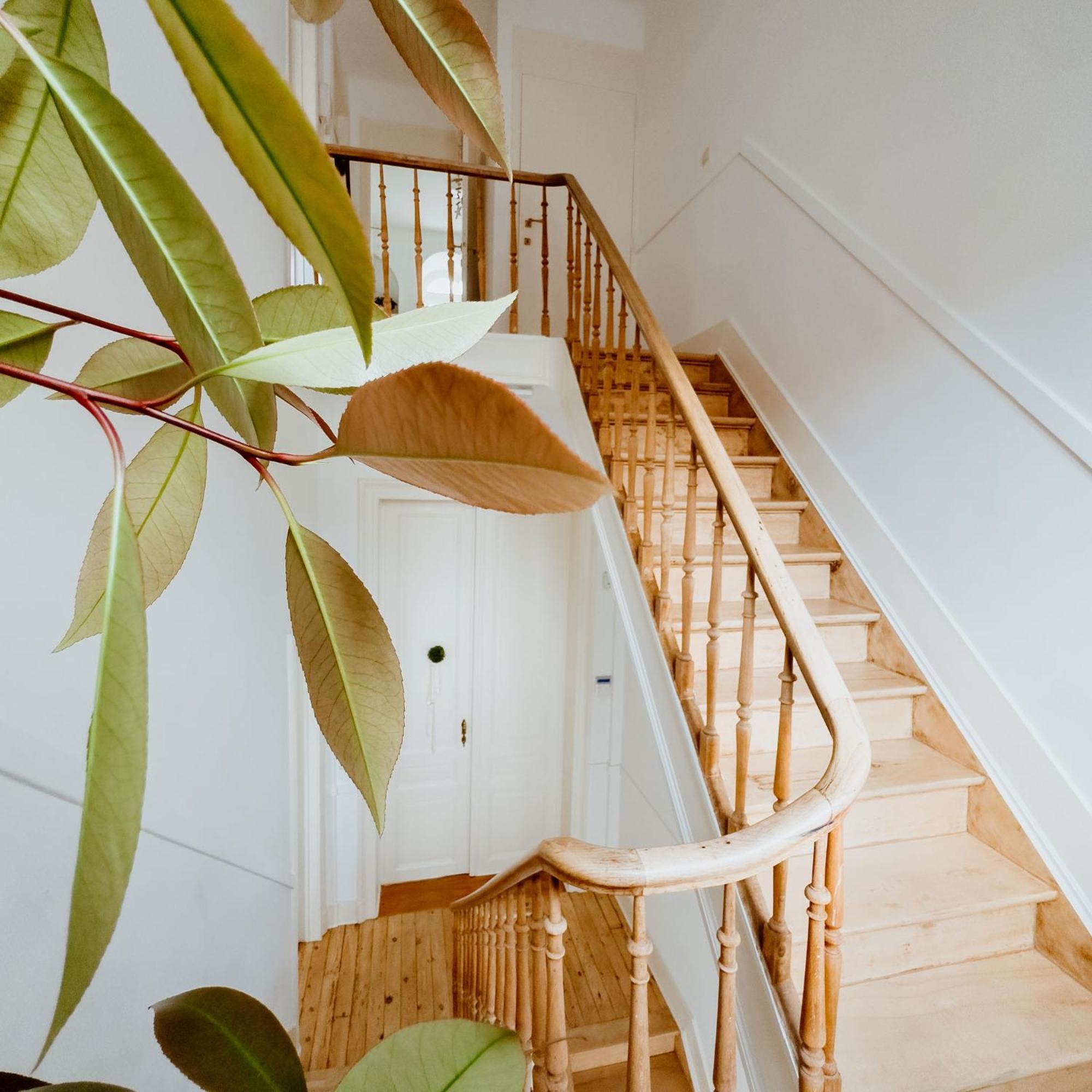 Ambiorix Residence Bruxelles Eksteriør billede